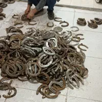 نعل اسب|اسب و تجهیزات اسبسواری|محمدشهر, محمدشهر|دیوار