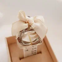 انگشتر نقره ای تکی کارتیر