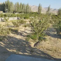 باغ-در-دیباج-3170متر