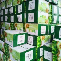 مغز گردو دندونه