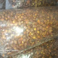 خرما انواع صنعتی ش|عمدهفروشی|کارون, |دیوار