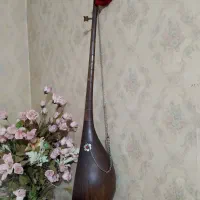 دوتارحرفه ای وخوش صدا|سازهای سنتی|اسفراین, |دیوار