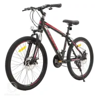 دوچرخه پیدا شده