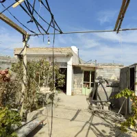 فروش باغ گلخانه|فروش دفتر صنعتی، کشاورزی، تجاری|نجف‌آباد, حومه نجف آباد|دیوار