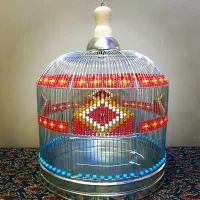 جوجه سهره خاکی (بلدرچین کبوترقناری مینا مرغ‌عشق)|پرنده|تهران, ترمینال جنوب|دیوار