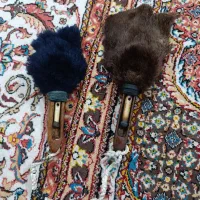 دیلبلدرچین