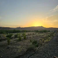 باغچه ۲۰۰۰هزارمتری در جاده کاشان|فروش خانه و ویلا|قم, شهر قائم|دیوار