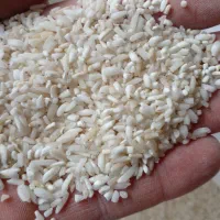 برنج لاشه هاشمی