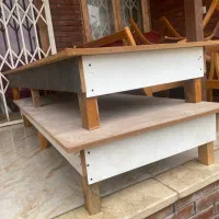 دوعدد زیر تختی