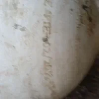 فروش مخزن استوک cng نیسان