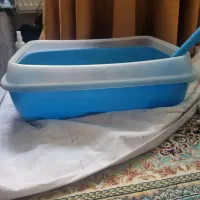 ظرف خاک گربه و بلیچه