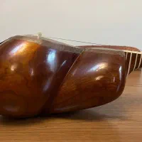 تار قدیمی|سازهای سنتی|تهران, شهرک غزالی|دیوار