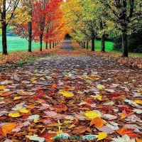 استا چاه کن