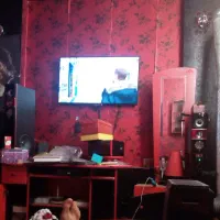 فروش سرویس چوب نسبتا تمیز نوجوان بصورت یکجایی