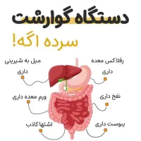 دمنوش رفع یبوست