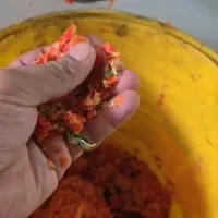 دستگاه آب گوجه گیری دستگاه آبلیمو و آبغوره گیری|فروشگاه و مغازه|شیراز, احمدی جنوبی|دیوار