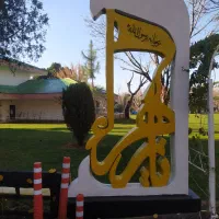 زیباسازی باغ و باغچه|خدمات پیشه و مهارت|محمدشهر, محمدشهر|دیوار