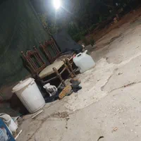 سگ داگو آرژانتینی اصیل|سگ|اصفهان, دشتستان|دیوار