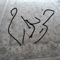 فرش نگین کشمیر|فرش|زنجان, |دیوار