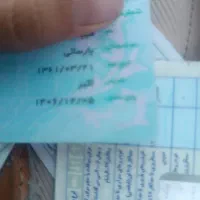 پیدا شدن مدارک