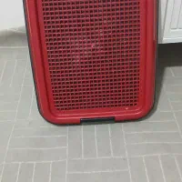 ظرف ادرار