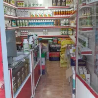 مغازه ۱۰ متری کوچه عظیمی سند آماده|فروش مغازه و غرفه|کنگاور, |دیوار