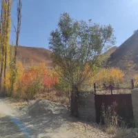 زمین فروشی شهرستانک (سرک،مازون)|فروش زمین و ملک کلنگی|تهران, تهرانسر غربی|دیوار