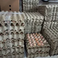 رسمی|خوردنی و آشامیدنی|مشهد, حرم مطهر رضوی|دیوار