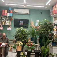 واگذاری مغازه با لوازم یا بدون لوازم (گل فروشی)|اجارهٔ مغازه و غرفه|مشهد, نیروی هوایی|دیوار