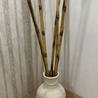 بامبو و گلدان سفالی