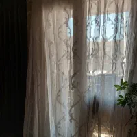 پرده مخمل