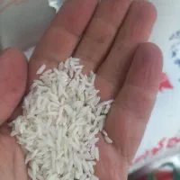 برنج میانه درجه یک|خوردنی و آشامیدنی|تبریز, |دیوار