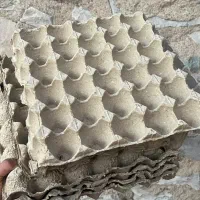 شانه تخم مرغ ۲/۵۰۰ تومن|ظروف نگهدارنده، پلاستیکی، یک‌بارمصرف|بیرجند, |دیوار