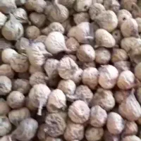 انجیر استهبان|خوردنی و آشامیدنی|شیراز, فضل‌آباد|دیوار