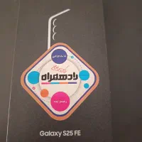 S25fe
