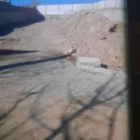 فرصت طلایی سرمایه گذاری
