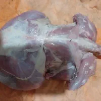 غذای سک وگوربه