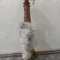 قلیون چوب گردو نو|کلکسیون و سرگرمی|نیشابور, چمبران|دیوار