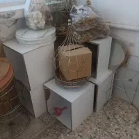 سفره عقد و عروسی|خدمات پذیرایی، مراسم|فارسان, |دیوار