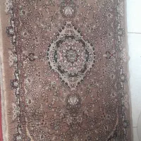 دوعدد پادری رنگ گردویی سالم