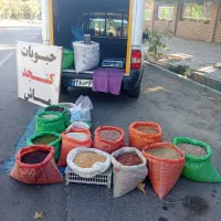 حبوبات و خشکبار باپخت تظمینی