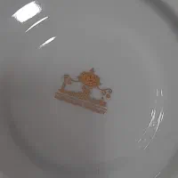 سرویس چینی ۱۲ نفره|ظروف سرو و پذیرایی|آزادشهر, |دیوار