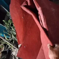 موکت