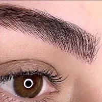 مدل عکاسی میکروبلیدینگ ابرو