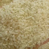 برنج لاشه هاشمی پاک شده تبج زده کیلویی ۳۰۰تومن