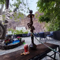 کافه گردو