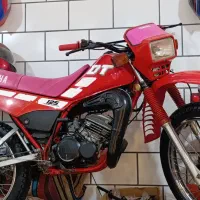 موتور کلکسیونی