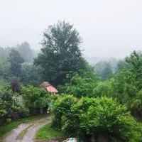 ویلا سه‌خواب،دو تراس و منظره جنگلی در جاده ماسوله