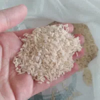 برنج طارم محلی ۱۹۵ت|خوردنی و آشامیدنی|حمیدیا, |دیوار