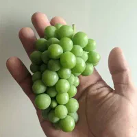 قوره